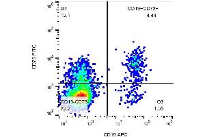 Flow cytometry analysis of Surface staining of human peripheral blood using CD73 Antibody (FITC). (CD73 antibody  (FITC))