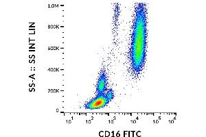 Flow cytometry analysis (surface staining) of human peripheral blood cells with anti-human CD16 (MEM-154) FITC.