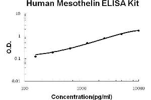 Human Mesothelin PicoKine ELISA Kit standard curve (Mesothelin ELISA Kit)