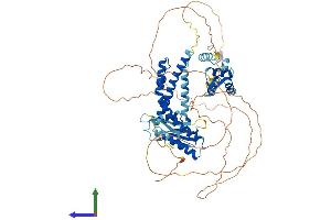 AlphaFold protein structure predicition of Human Recombinant ELL2 Protein, UniprotID O00472
