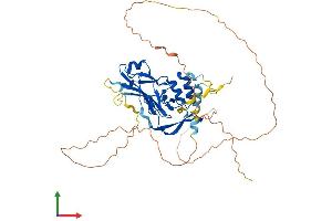 AlphaFold protein structure predicition of Human Recombinant TBX20 Protein, UniprotID Q9UMR3 (TBX20 Protein (AA 1-447) (His tag))