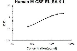 Human M-CSF PicoKine ELISA Kit standard curve (M-CSF/CSF1 ELISA Kit)