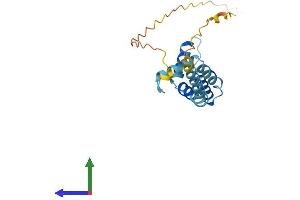AlphaFold protein structure predicition of Human Recombinant BOD1 Protein, UniprotID Q96IK1