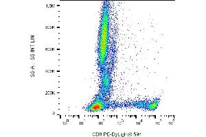 Flow cytometry analysis (surface staining) of human peripheral blood using anti-human CD8 (clone MEM-31) PE-Dylight® 594. (CD8 antibody  (PE-DyLight 594))