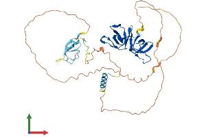 Protein Structure (PS) image for SH3 and Cysteine Rich Domain (STAC) (AA 1-402) protein (His tag) (ABIN7546476)