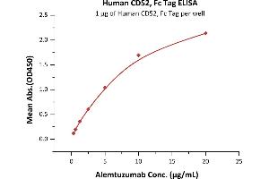 Immobilized Human CD52, Fc Tag (ABIN5954986,ABIN6253630) at 10 μg/mL (100 μL/well) can bind Alemtuzumab with a linear range of 0. (CD52 Protein (CD52) (AA 25-36) (Fc Tag))