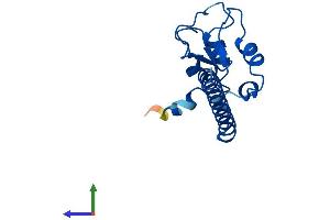 Protein Structure (PS) image for Baculoviral IAP Repeat-Containing 5 (BIRC5) (AA 1-140) protein (His tag) (ABIN7562517)