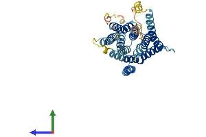 AlphaFold protein structure predicition of Human Recombinant SLC39A1 Protein, UniprotID Q9NY26 (SLC39A1 Protein (AA 1-324) (His tag))