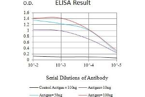 Black line: Control Antigen (100 ng),Purple line: Antigen (10 ng), Blue line: Antigen (50 ng), Red line:Antigen (100 ng) (MTA1 antibody  (AA 541-715))