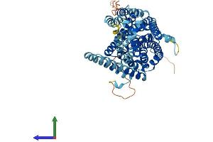 AlphaFold protein structure predicition of Human Recombinant SLC11A2 Protein, UniprotID P49281