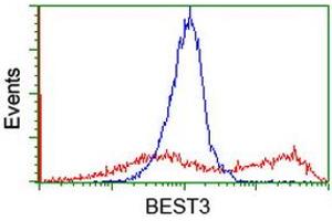 HEK293T cells transfected with either RC218436 overexpress plasmid (Red) or empty vector control plasmid (Blue) were immunostained by anti-BEST3 antibody (ABIN2454025), and then analyzed by flow cytometry. (Bestrophin 3 antibody)
