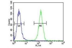 XRCC6 antibody flow cytometric analysis of A2058 cells (green) compared (XRCC6 antibody  (AA 521-548))