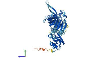 Protein Structure (PS) image for Pelota Homolog (PELO) (AA 1-385) protein (His tag) (ABIN7558409)