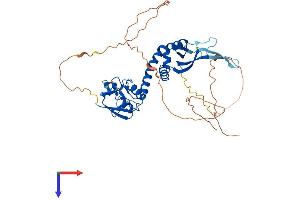AlphaFold protein structure predicition of Mouse Recombinant Kctd20 Protein, UniprotID Q8CDD8