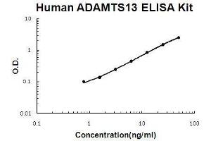 Human ADAMTS13 PicoKine ELISA Kit standard curve