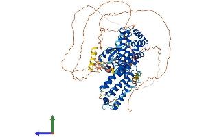 AlphaFold protein structure predicition of Mouse Recombinant Rfx3 Protein, UniprotID P48381 (RFX3 Protein (AA 1-749) (His tag))