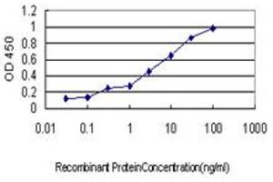 Detection limit for recombinant GST tagged KRIT1 is approximately 0. (KRIT1 antibody  (AA 637-736))