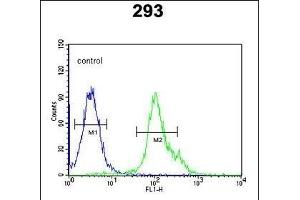 NXPH1 Antibody (N-term) (ABIN653496 and ABIN2842909) flow cytometric analysis of 293 cells (right histogram) compared to a negative control cell (left histogram). (Neurexophilin 1 antibody  (N-Term))