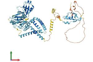 AlphaFold protein structure predicition of Mouse Recombinant Rnf103 Protein, UniprotID Q9R1W3 (RNF103 Protein (AA 1-683) (His tag))