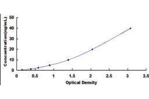 Typical standard curve (COL6A1 ELISA Kit)