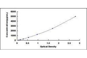 Pyruvate Dehydrogenase (Lipoamide) alpha 1 (PDHA1) ELISA Kit