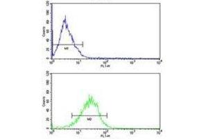 Bid antibody flow analysis of MCF-7 cells (bottom histogram) compared to a negative control (top histogram). (BID antibody  (AA 39-68))