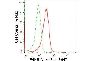 Flow cytometric analysis of P4HB expression in HepG2 cells using P4HB antibody (ABIN7799919), 1:2,000). (P4HB antibody)