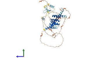 AlphaFold protein structure predicition of Human Recombinant TTC31 Protein, UniprotID Q49AM3 (TTC31 Protein (AA 1-519) (His tag))