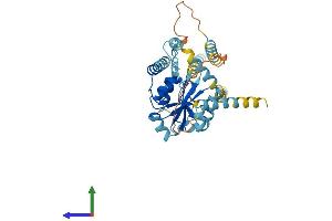 Protein Structure (PS) image for Ataxin 3 (ATXN3) (AA 1-355) protein (His tag) (ABIN7564950)