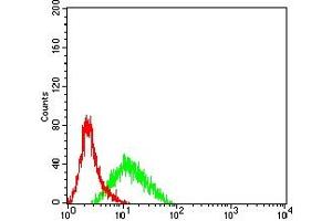 CD8 alpha antibody  (AA 22-235)