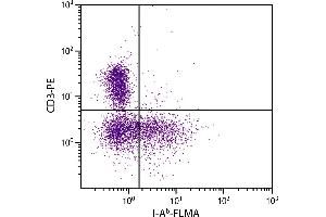 C57BL/6 mouse splenocytes were stained with Mouse Anti-Mouse I-Ab-FLMA and Rat Anti-Mouse CD3ε-PE. (MHC Class II I-Ab antibody  (Biotin))