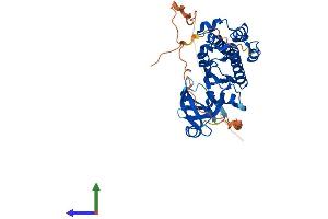 Protein Structure (PS) image for Proto-Oncogene Pim-2 (Serine Threonine Kinase) (PIM2) (AA 1-370) protein (His tag) (ABIN7563939)
