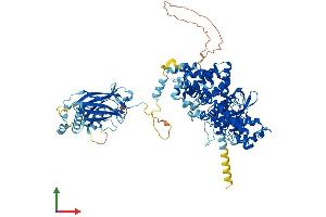 Protein Structure (PS) image for Phosphoinositide-3-Kinase, Class 3 (PIK3C3) (AA 1-887) protein (His tag) (ABIN7555003)