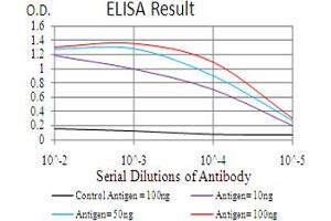 Fig. (GLI1 antibody  (AA 284-449))