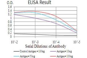 Fig. (GLI1 antibody  (AA 284-449))