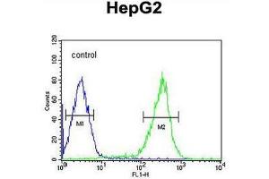 PCBD1 Antibody (Center) flow cytometric analysis of HepG2 cells (right histogram) compared to a negative control cell (left histogram). (PCBD1 antibody  (Middle Region))