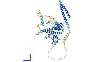 AlphaFold protein structure predicition of Human Recombinant ZGPAT Protein, UniprotID Q8N5A5