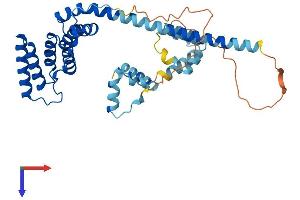 AlphaFold protein structure predicition of Human Recombinant ST13P5 Protein, UniprotID Q8NFI4 (FAM10A5 Protein (AA 1-369) (His tag))