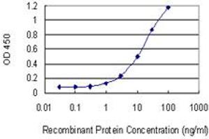 Detection limit for recombinant GST tagged HTR1E is 0. (Serotonin Receptor 1E antibody  (AA 206-276))