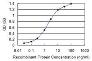 Detection limit for recombinant GST tagged ABCB1 is 0. (ABCB1 antibody  (AA 620-709))