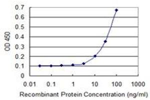 Detection limit for recombinant GST tagged TUBD1 is 3 ng/ml as a capture antibody. (TUBD1 antibody  (AA 354-453))
