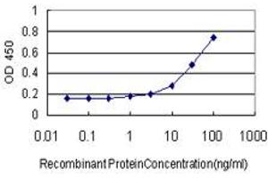 Detection limit for recombinant GST tagged TRIP13 is approximately 1ng/ml as a capture antibody. (TRIP13 antibody  (AA 1-432))