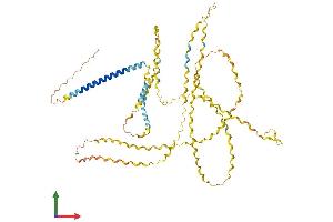 AlphaFold protein structure predicition of Human Recombinant COL23A1 Protein, UniprotID Q86Y22