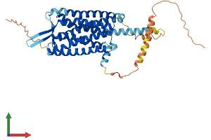 AlphaFold protein structure predicition of Mouse Recombinant Trhr Protein, UniprotID P21761 (TRHR Protein (AA 1-393) (His tag))