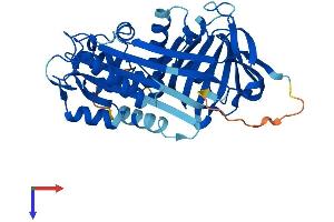 serpin Peptidase Inhibitor, Clade B (Ovalbumin), Member 7 (SERPINB7) (AA 1-380) protein (His tag)