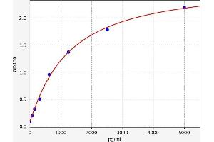 Glutamic-Oxaloacetic Transaminase 2, Mitochondrial (Aspartate Aminotransferase 2) (GOT2) ELISA Kit