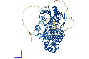 AlphaFold protein structure predicition of Mouse Recombinant Dennd6a Protein, UniprotID Q8BH65 (FAM116A Protein (AA 1-605) (His tag))