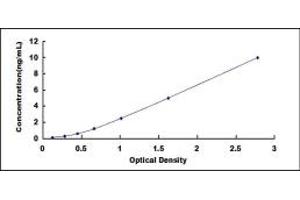 MYBPC1 ELISA Kit