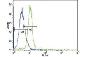 JAK2 antibody flow cytometric analysis of K562 cells (green) compared to a negative control (blue).