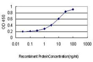 Detection limit for recombinant GST tagged CORO1A is approximately 0. (Coronin 1a antibody  (AA 360-461))